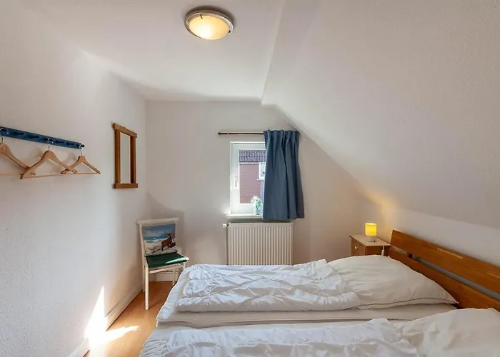 Lauwenhaus Mit Sauna Und Eingezaeunten Garten *