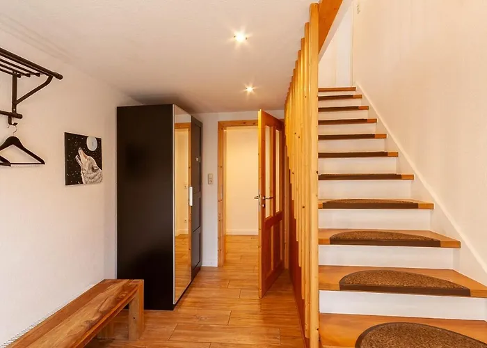 Lauwenhaus Mit Sauna Und Eingezaeunten Garten Braunlage