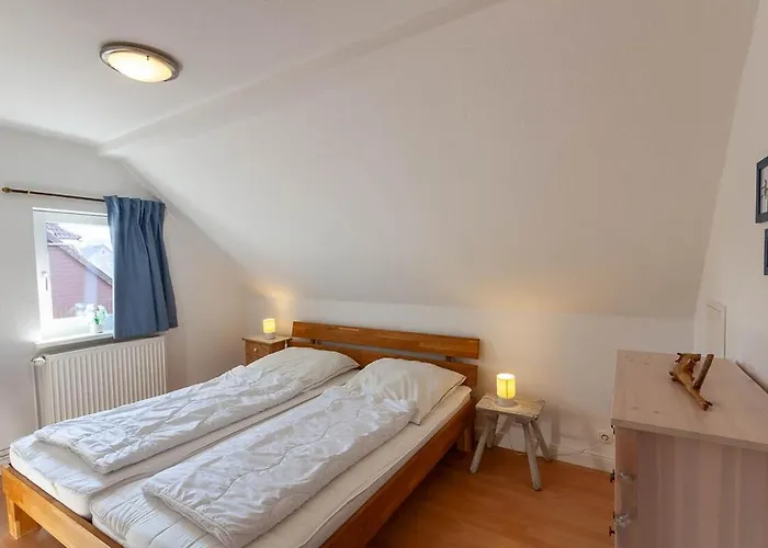 Lauwenhaus Mit Sauna Und Eingezaeunten Garten *