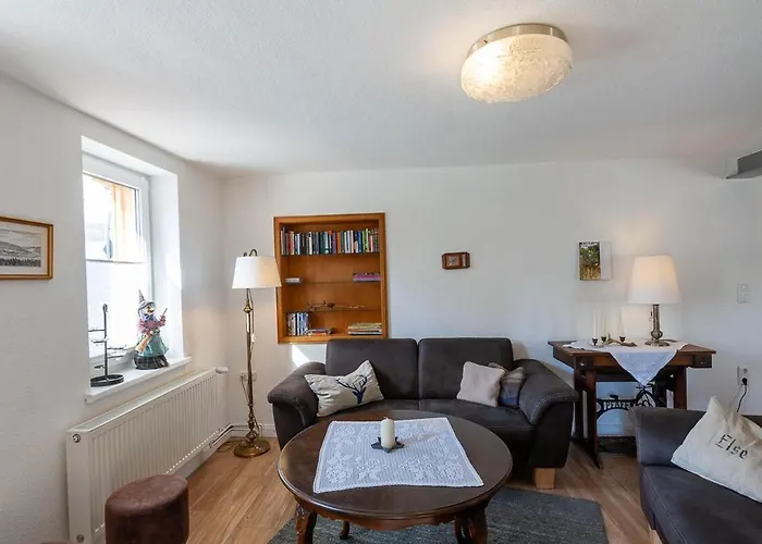 Lauwenhaus Mit Sauna Und Eingezaeunten Garten * Braunlage